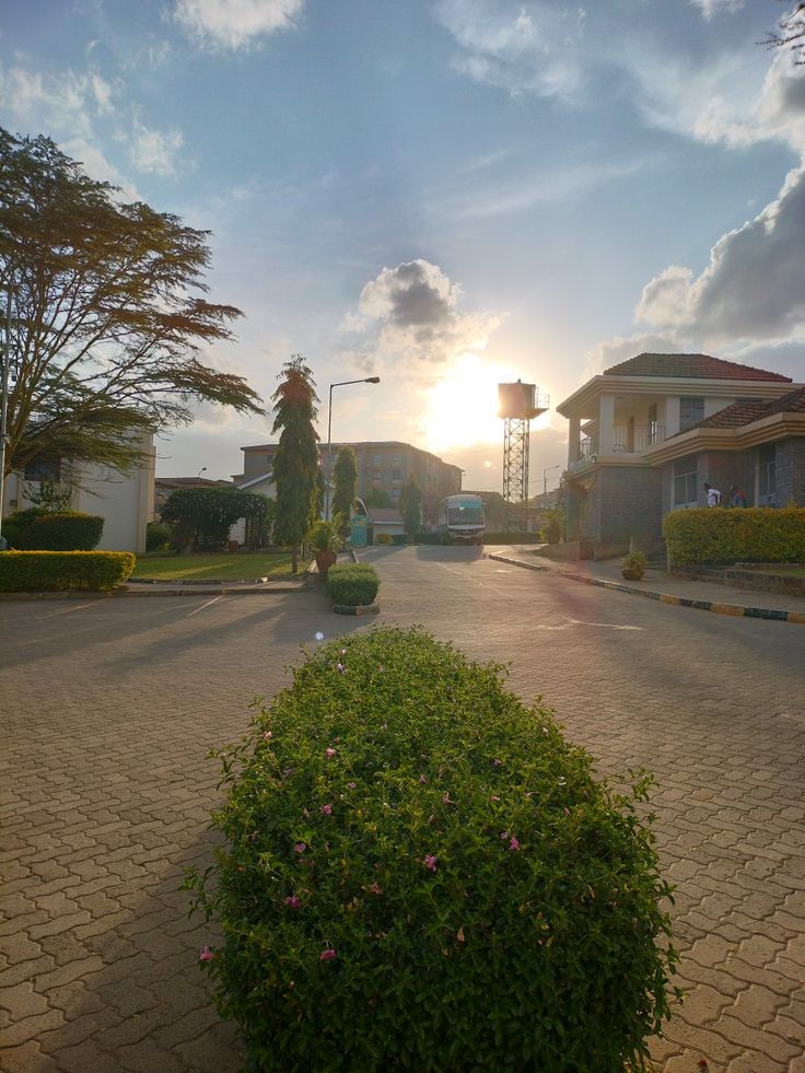 Best Universities Around Rongai & Karen